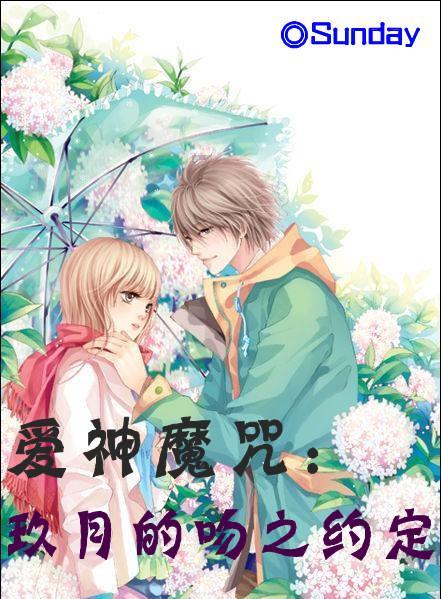 太阁立志传5